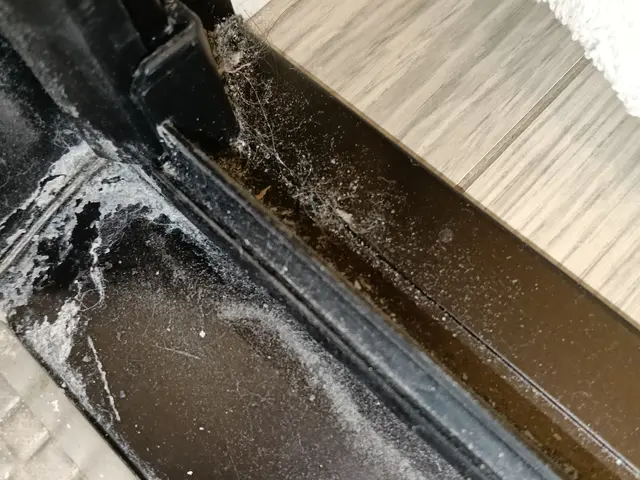 ☆片付け☆料理☆全ての家事をプロの手で！４月より５００円値上げ致しました御理解をサービスの画像