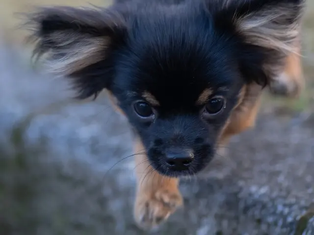 大切な家族とのかけがえのない瞬間を残しませんか？