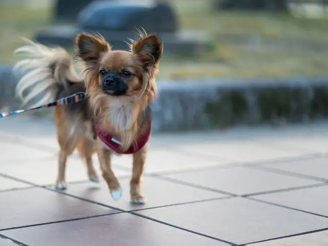 大切な家族とのかけがえのない瞬間を残しませんか？