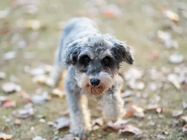 大切な家族とのかけがえのない瞬間を残しませんか？