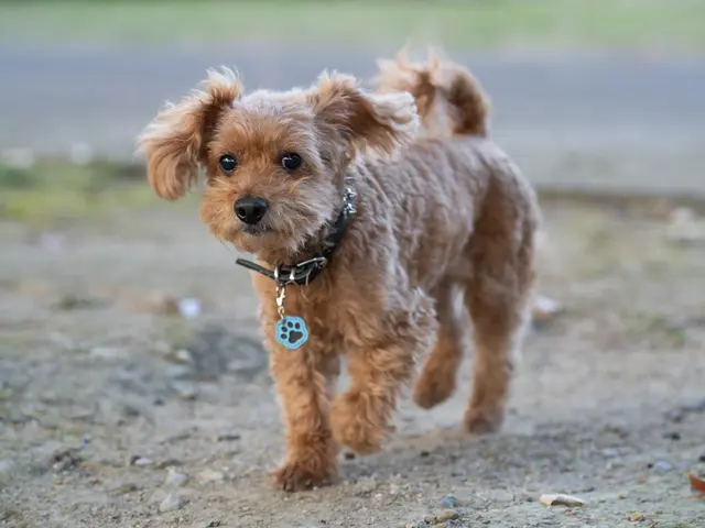 大切な家族とのかけがえのない瞬間を残しませんか？