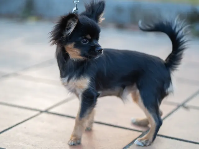 大切な家族とのかけがえのない瞬間を残しませんか？