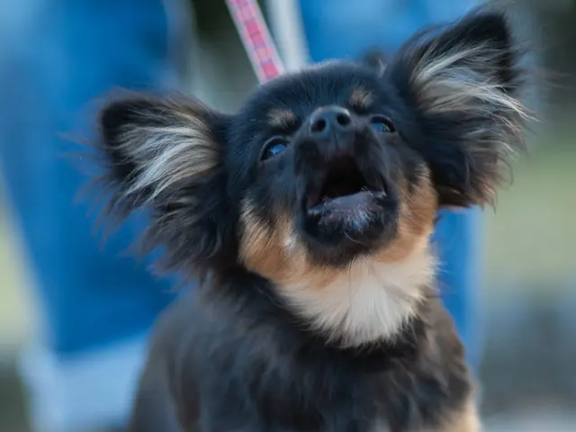 大切な家族とのかけがえのない瞬間を残しませんか？