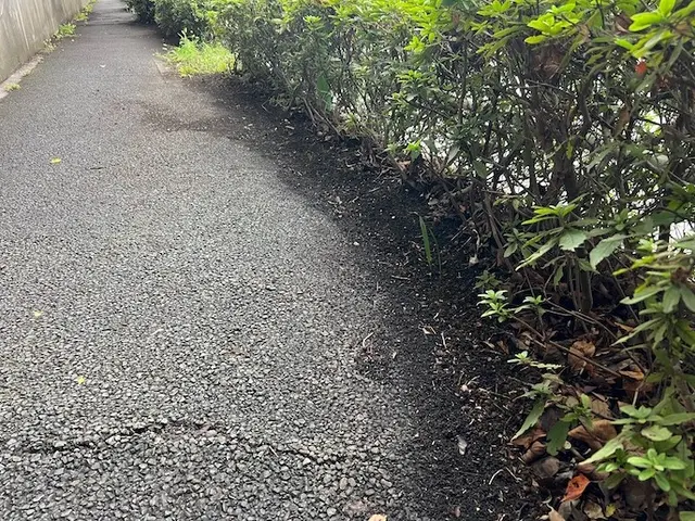 『とても綺麗になって嬉しいです』と大好評。落ち葉清掃お任せください。サービスの画像