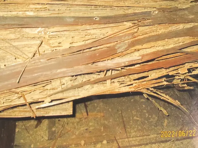 30年の実績◉安心の5年保証♫住居のことは相談乗れます★大手経験あり！サービスの画像