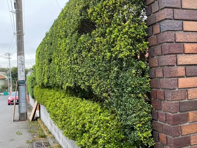 元国立研究所の植物学者が行う、造園・お庭のメンテナンスサービスの画像