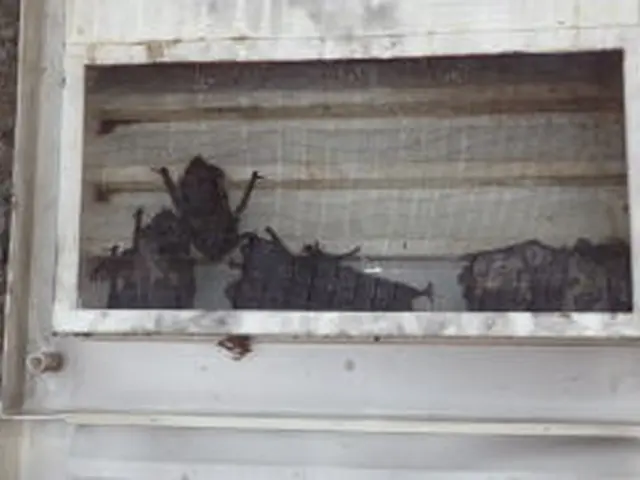 【損保加入・完全自社施工で安心安全】土日祝も対応・クレジットカード使用可能◎サービスの画像