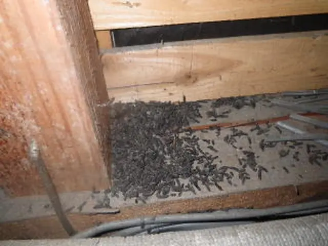 【損保加入・完全自社施工で安心安全】土日祝も対応・クレジットカード使用可能◎サービスの画像