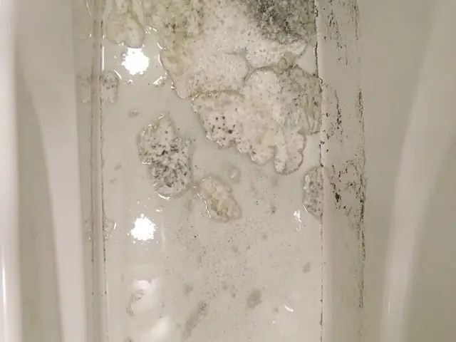 浴室（風呂釜）の追い焚き配管除菌クリーニングサービスの画像