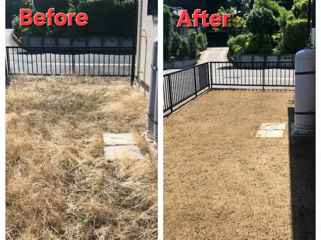 『草刈り（草刈り機）』代行サービス！サービスの画像