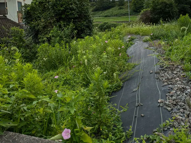 作業外注一切なし◎駐車代お店負担◎お客様の立場になって丁寧に作業します！サービスの画像