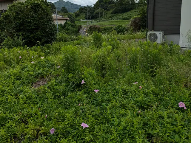 作業外注一切なし◎駐車代お店負担◎お客様の立場になって丁寧に作業します！サービスの画像