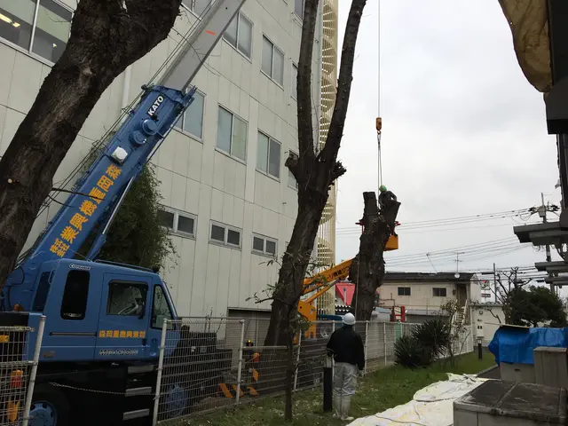 【1級造園施工管理技士】お庭のお手入れで　おうち時間の暮らしをもっと快適に！サービスの画像