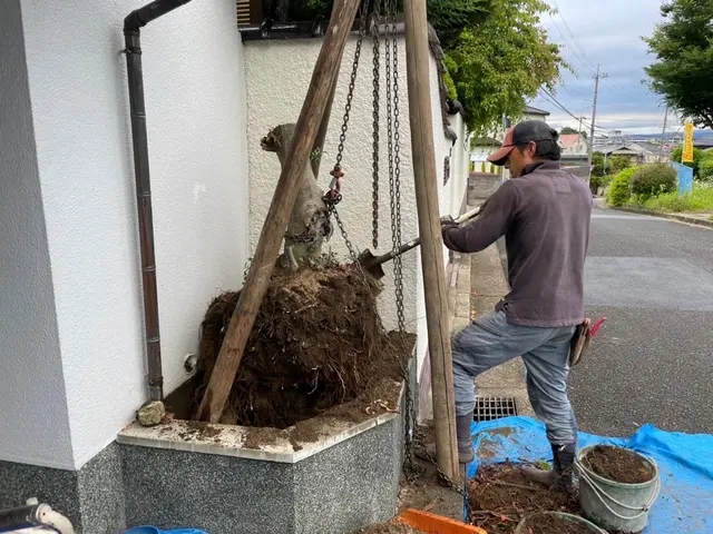 【1級造園施工管理技士】お庭のお手入れで　おうち時間の暮らしをもっと快適に！サービスの画像