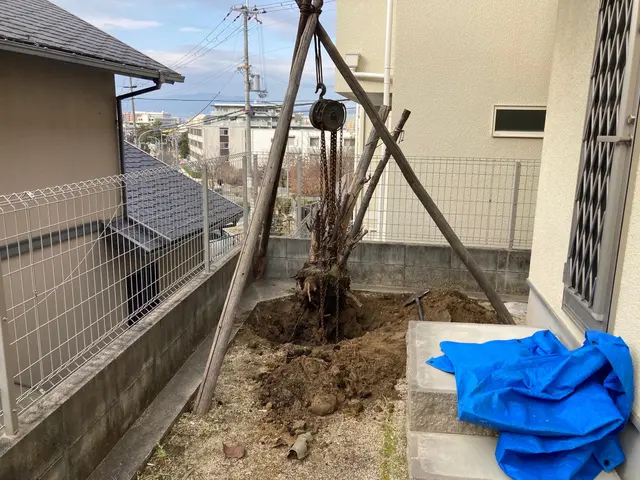 【1級造園施工管理技士】お庭のお手入れで　おうち時間の暮らしをもっと快適に！サービスの画像