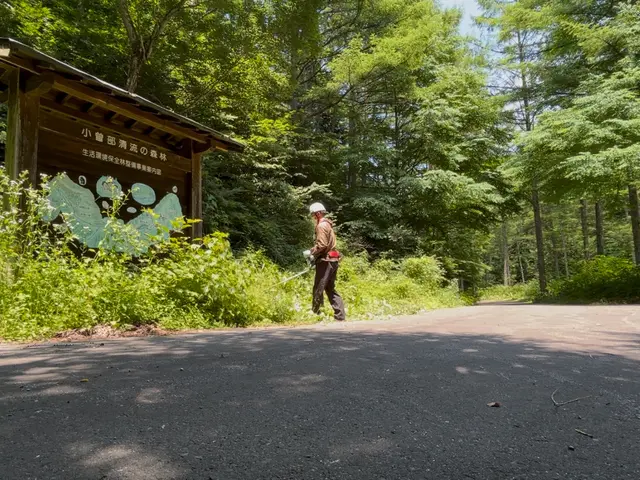 草刈り　伐採サービスの画像