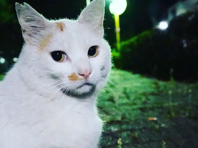 貴方がなりたい姿になるお手伝いをさせてください。