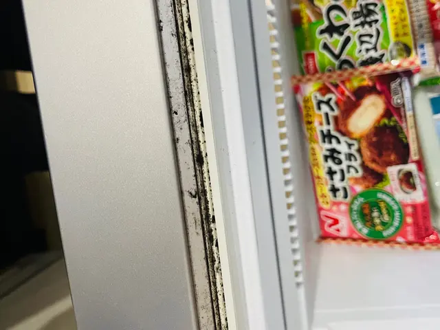 冷蔵庫(外・中)おそうじサービスの画像