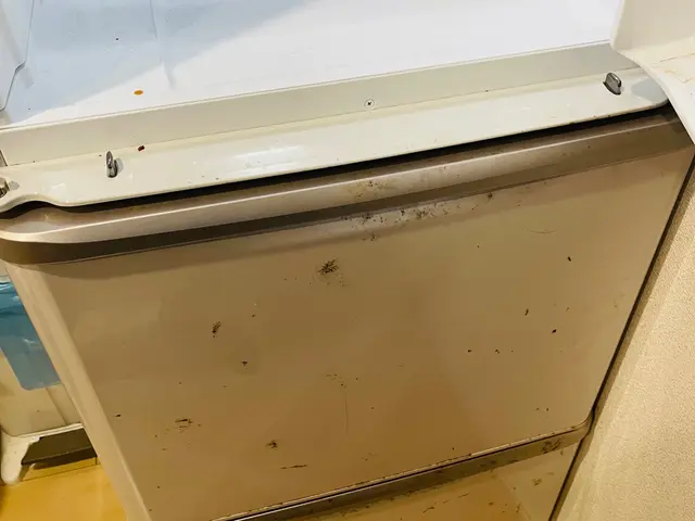 冷蔵庫(外・中)おそうじサービスの画像