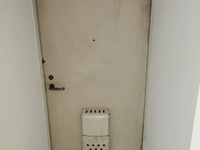 綺麗な玄関ドアに☆サービスの画像