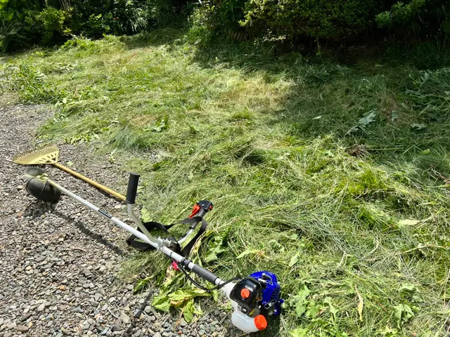 草刈り(機械刈り)サービスの画像