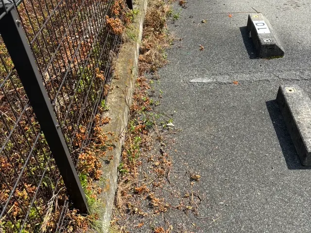 【外注ゼロ・保険完備◎】「また頼みたい」を目指して精一杯対応！女性スタッフ同行◎サービスの画像