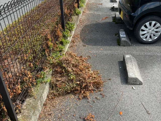 【外注ゼロ・保険完備◎】「また頼みたい」を目指して精一杯対応！女性スタッフ同行◎サービスの画像