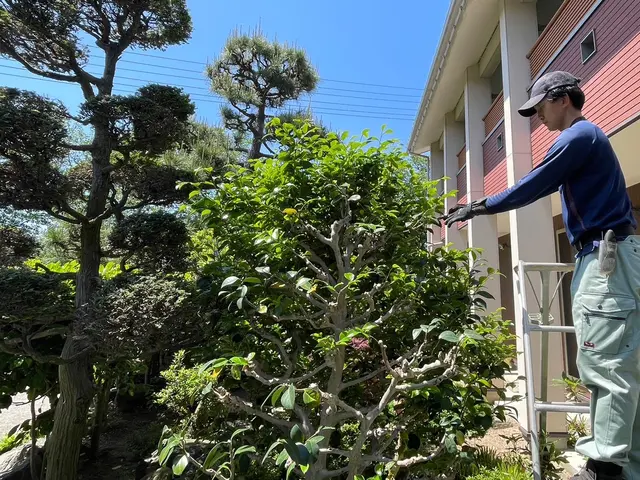 ◆年中無休◆木一本からご連絡ください！サービスの画像