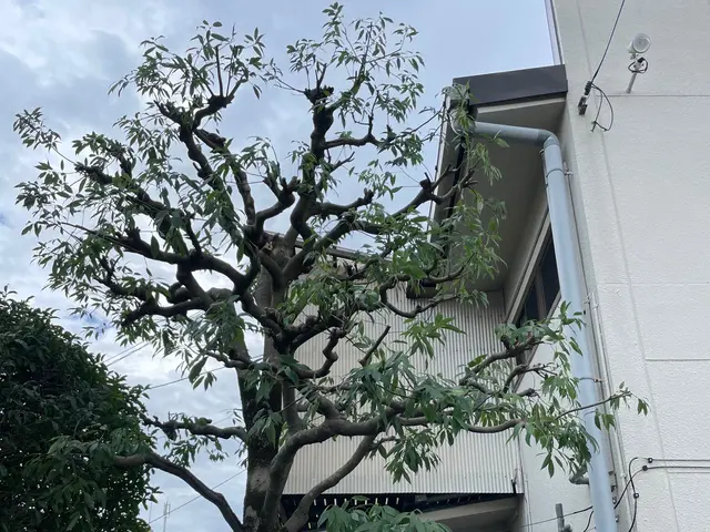 ◆年中無休◆木一本からご連絡ください！サービスの画像