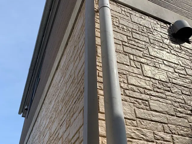 育ち過ぎた雑草、ツタの除去はプロにお任せください！綺麗、丁寧に仕上げます！サービスの画像