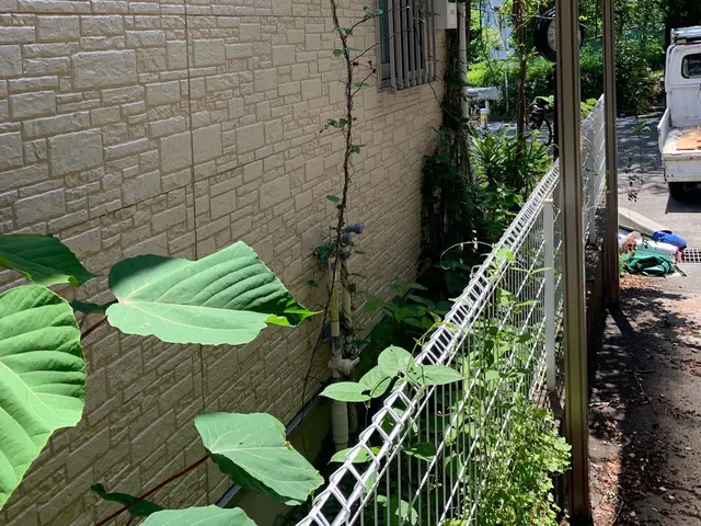 育ち過ぎた雑草、ツタの除去はプロにお任せください！綺麗、丁寧に仕上げます！サービスの画像