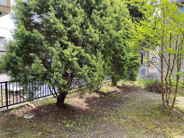 【業歴10年以上の実績】年中無休◎女性スタッフ同行可能◎仕上がり保証ありサービスの画像