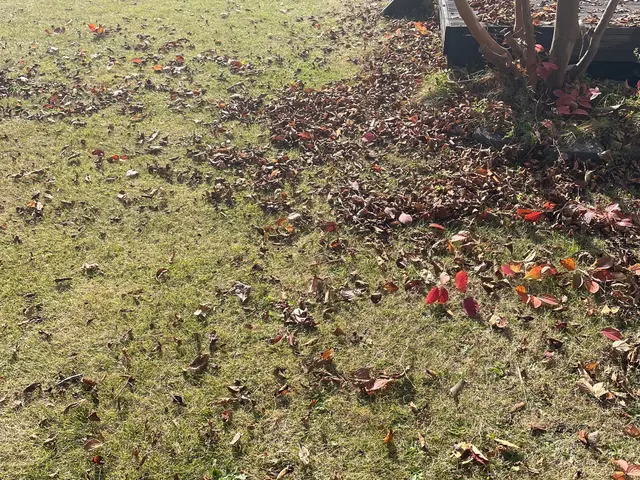 ★カードOK★高木もご相談下さい　★クレーン車を使用せずにロープで安全対応サービスの画像