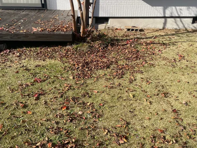 ★カードOK★高木もご相談下さい　★クレーン車を使用せずにロープで安全対応サービスの画像