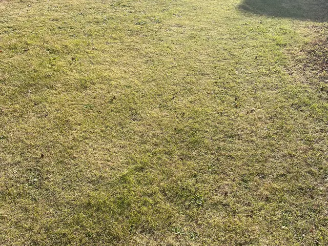 ★カードOK★高木もご相談下さい　★クレーン車を使用せずにロープで安全対応サービスの画像