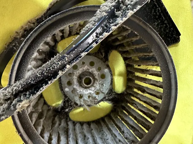 【ハウスクリーニング資格取得者】クオリティ重視◎paypay支払い◎サービスの画像