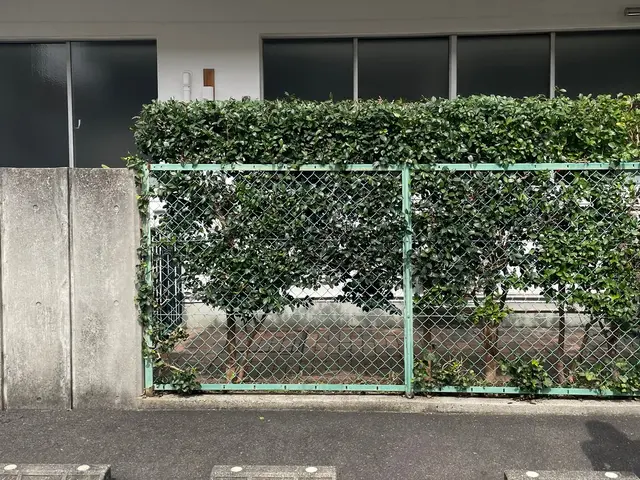 ☆生垣の剪定お任せください☆お庭、空き家、アパートなどサービスの画像