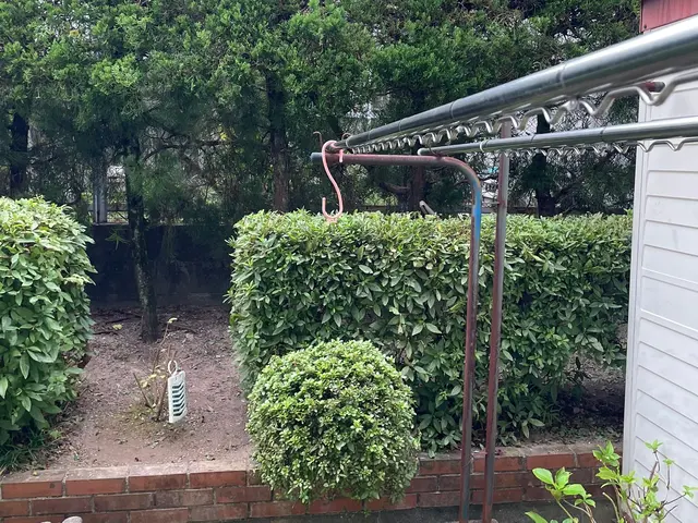 ☆生垣の剪定お任せください☆お庭、空き家、アパートなどサービスの画像