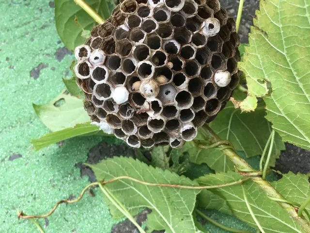 ＜埼玉県全域＞年中無休！女性とご年配のお客様に人気！企業様にも信用と実績！サービスの画像