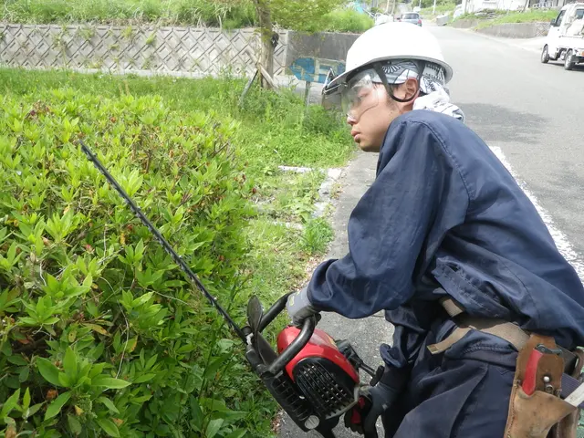 創業50年歴史ある造園業者(駐車場代店負担/女性スタッフ同行可/保険加入済)サービスの画像