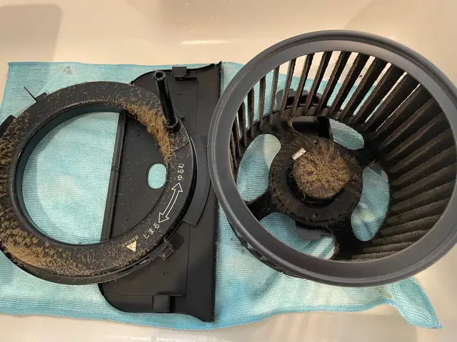 女性スタッフの私一人でお伺いします！わんちゃんねこちゃんいらっしゃるご家庭大歓迎サービスの画像