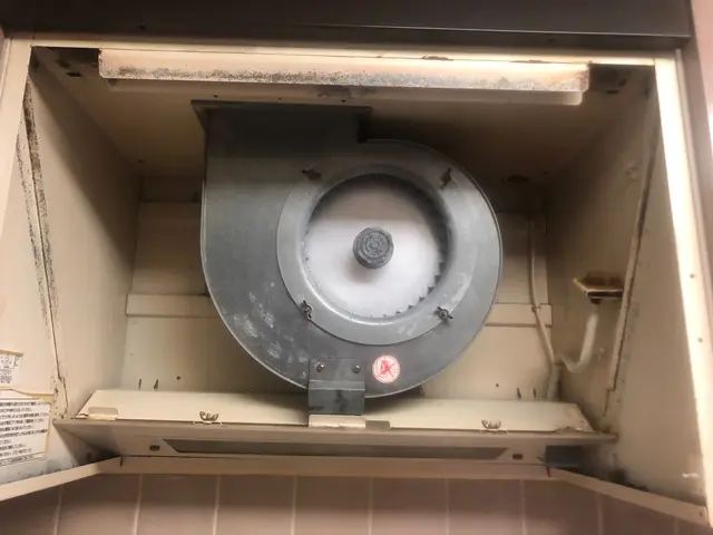 女性スタッフの私一人でお伺いします！わんちゃんねこちゃんいらっしゃるご家庭大歓迎サービスの画像