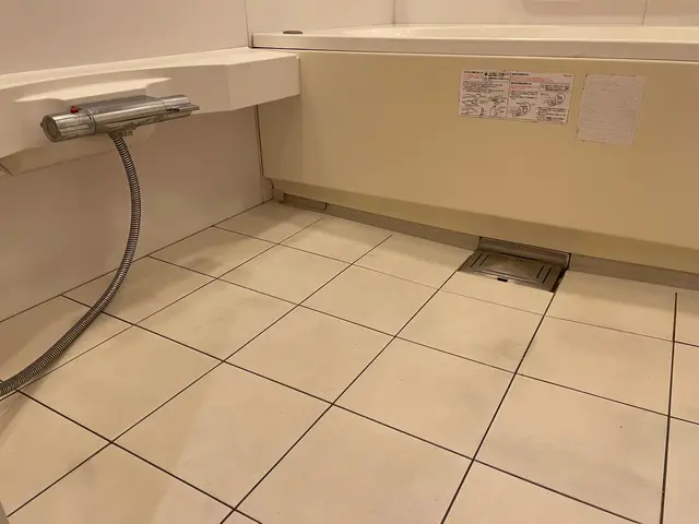 女性スタッフの私一人でお伺いします！わんちゃんねこちゃんいらっしゃるご家庭大歓迎サービスの画像