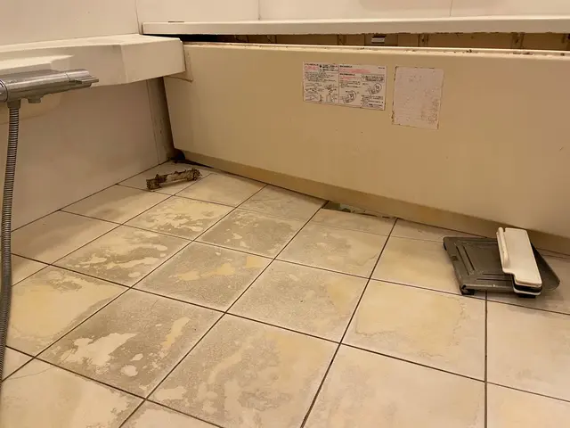 女性スタッフの私一人でお伺いします！わんちゃんねこちゃんいらっしゃるご家庭大歓迎サービスの画像