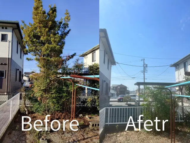 ◆庭木の伐採・剪定、森にお任せ！◆地元密着で安心・丁寧！サービスの画像