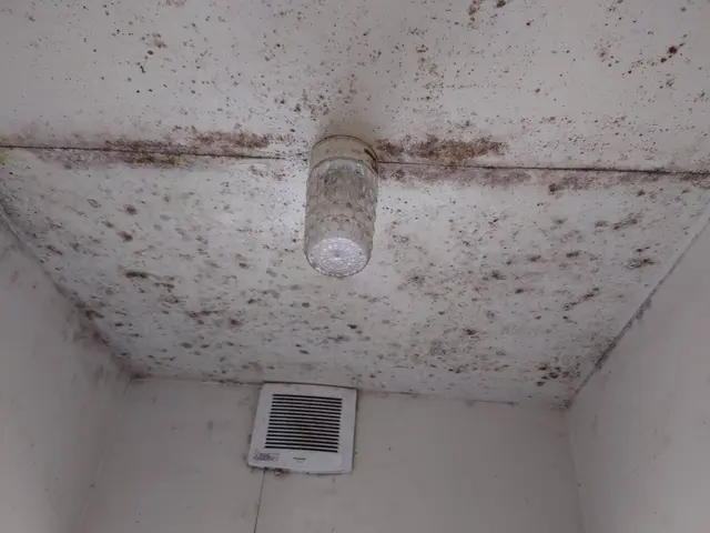 【10年の経験と信頼】専用の薬剤と細やかな作業で、圧倒的な仕上がりを実現します！サービスの画像