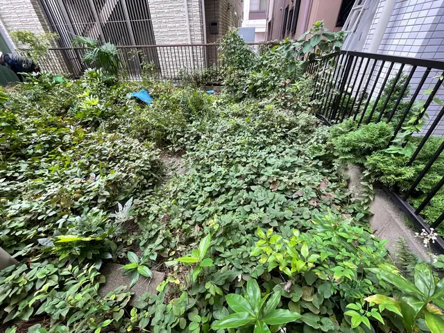 ★お庭を綺麗に！★お立ち会い無し◎アパート、お墓等対応◎対応エリア外ご相談◎★サービスの画像