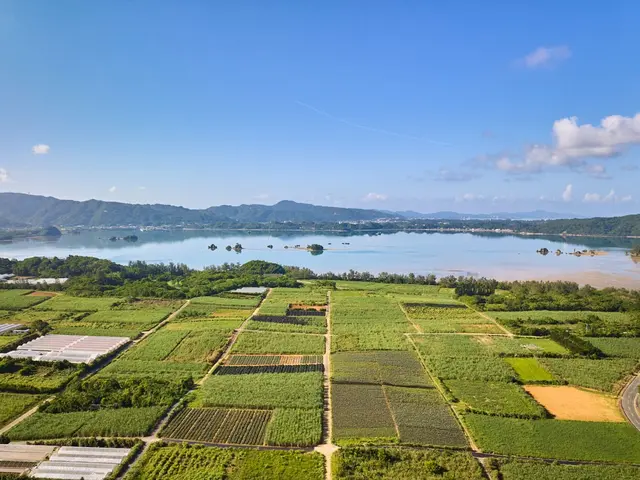 無人航空機2等免許取得！補助者有！イメージ動画の撮影、物件、ウェディングムービー