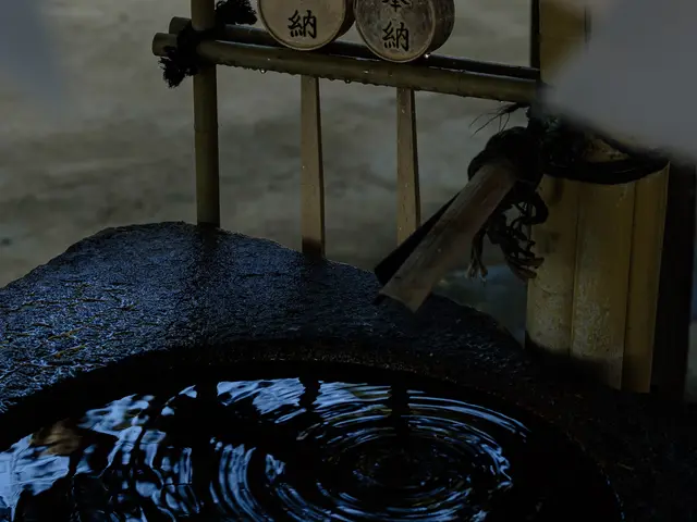 【出店記念】七五三出張撮影モニター募集残 ２枠｜特別価格￥1,000