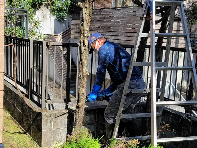 庭木の伐採・抜根サービスの画像